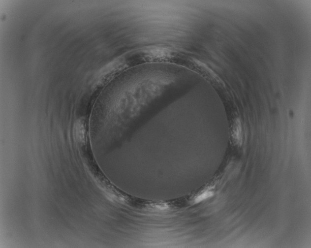 X0000066010715200603061257