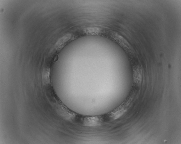 X0000066010717200603061257