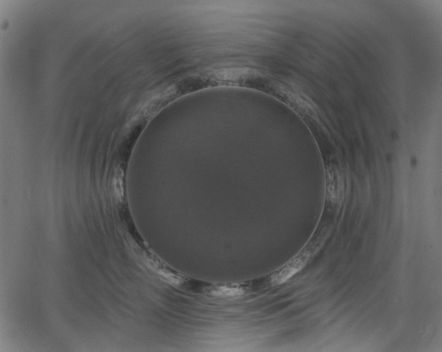 X0000066010718200603061257