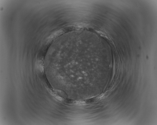 X0000066010719200603061257