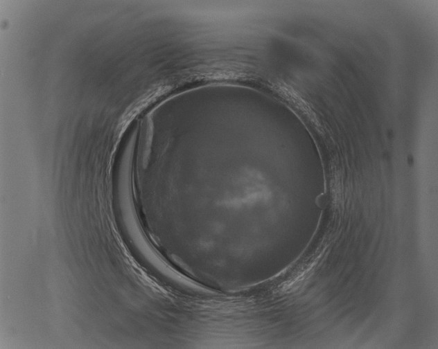 X0000066010721200603061256