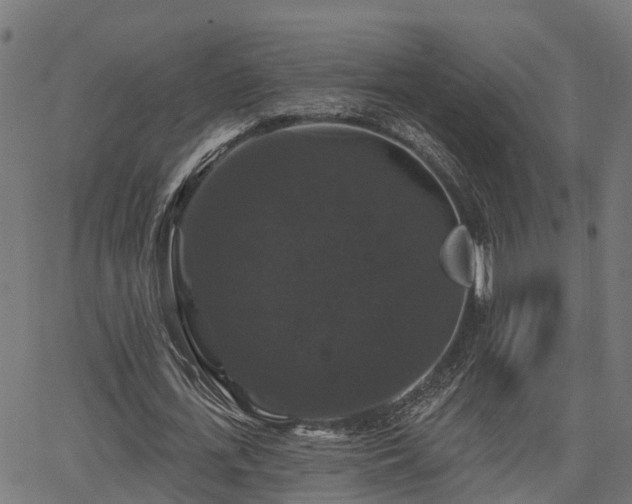 X0000066010723200603061256