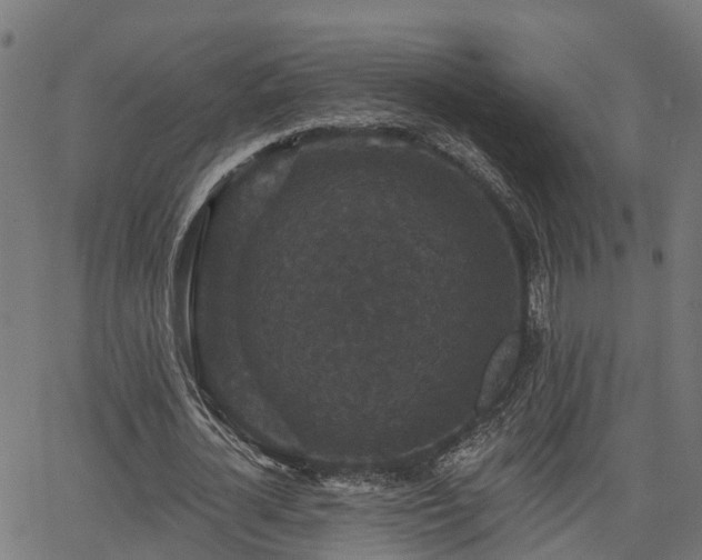 X0000066010724200603061256