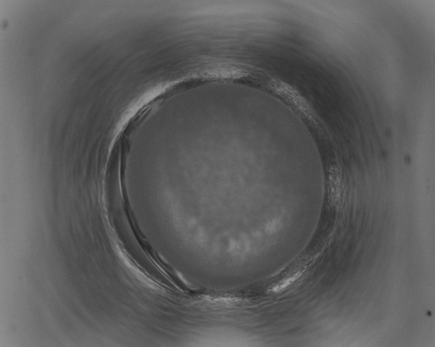 X0000066010726200603061256