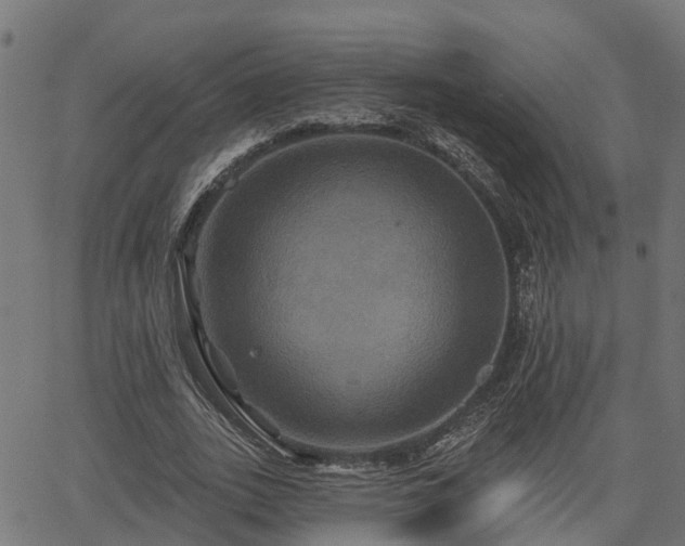 X0000066010727200603061257