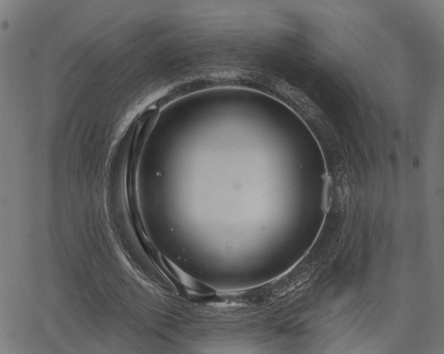 X0000066010728200603061257