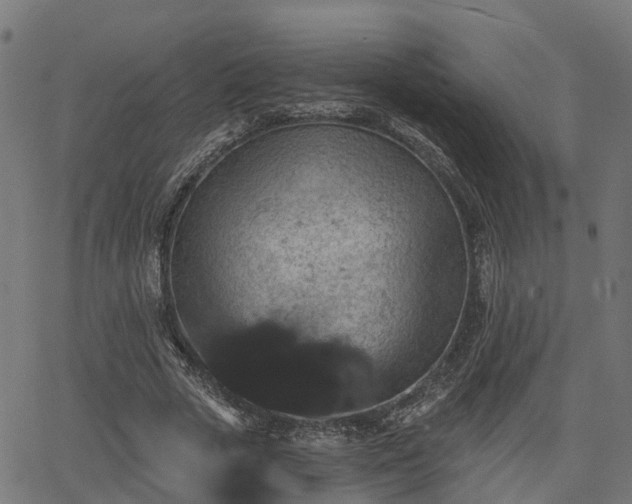 X0000066010729200603061257