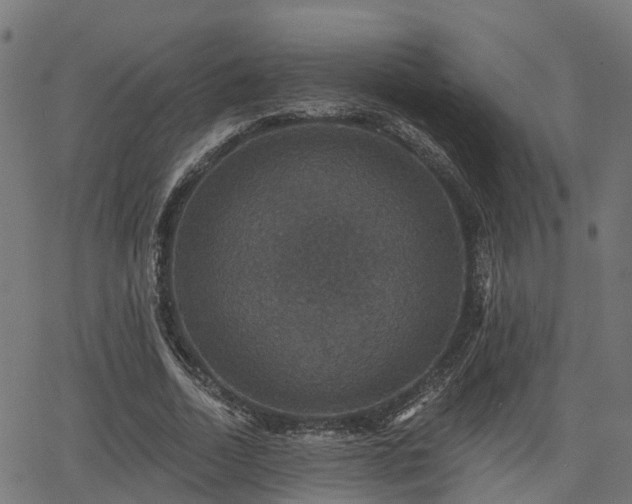 X0000066010730200603061257