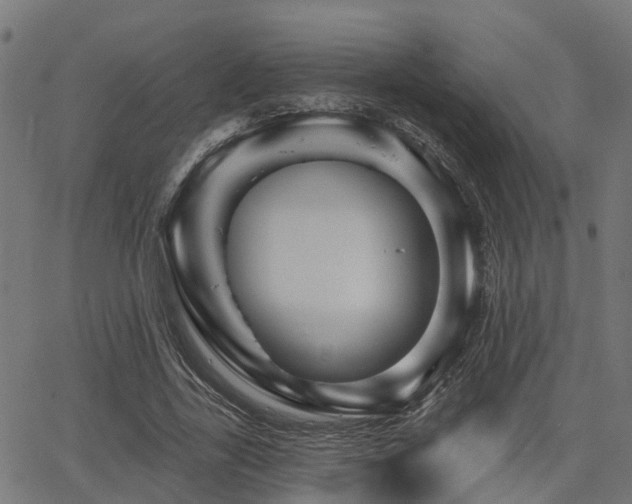 X0000066010731200603061257