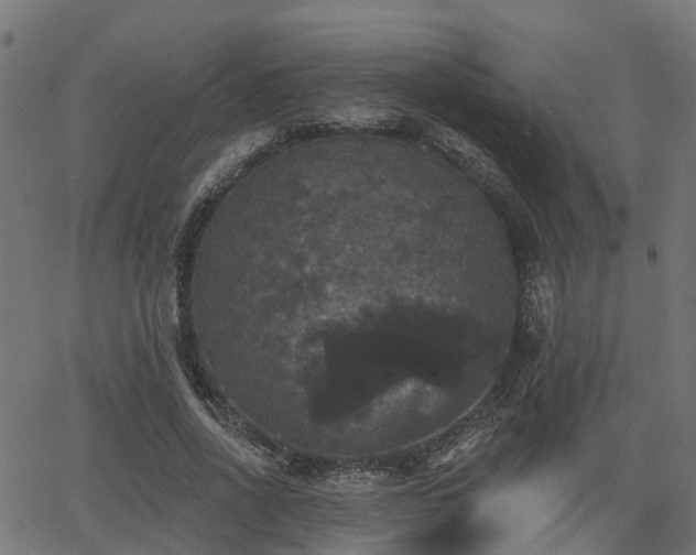 X0000066010734200603061257