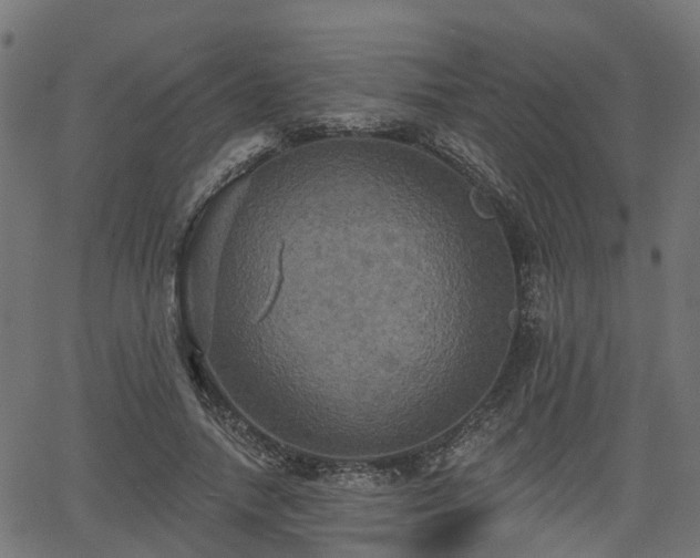 X0000066010738200603061257