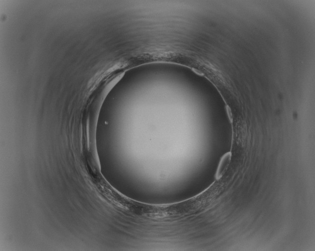 X0000066010740200603061257