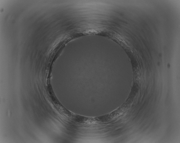 X0000066010742200603061257