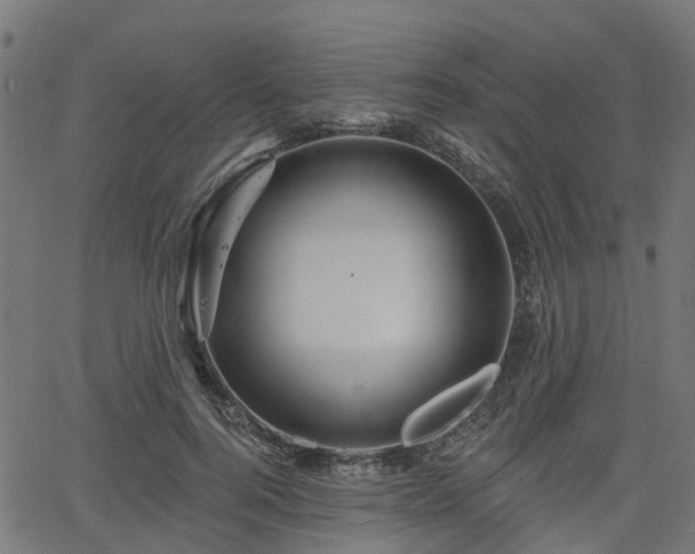 X0000066010744200603061257