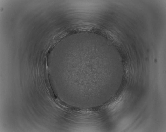 X0000066010745200603061257