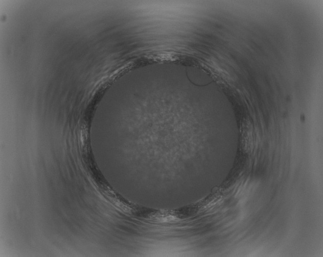 X0000066010747200603061257