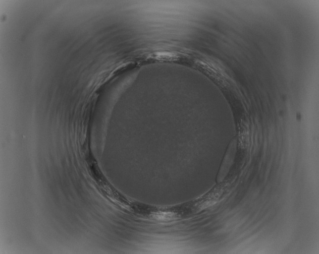 X0000066010748200603061257