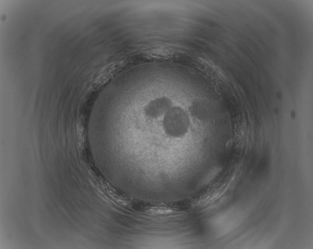 X0000066010749200603061257