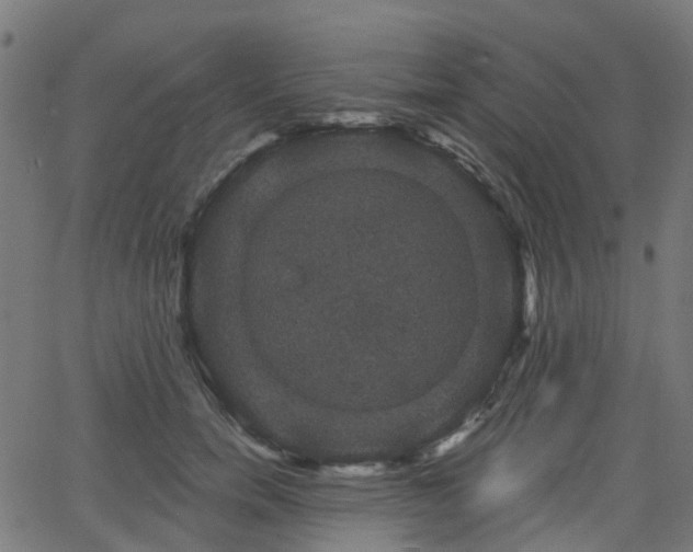 X0000066010750200603061257