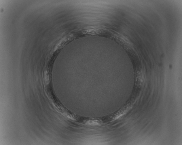 X0000066010751200603061257