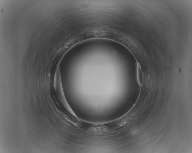 X0000066010752200603061257