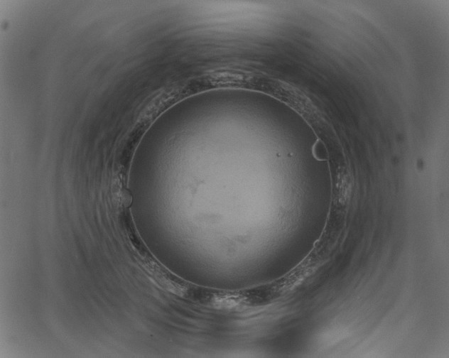 X0000066010753200603061257