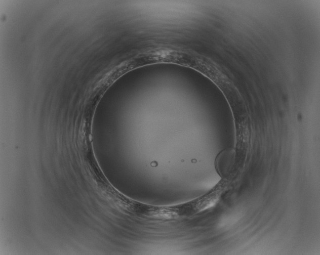 X0000066010754200603061257