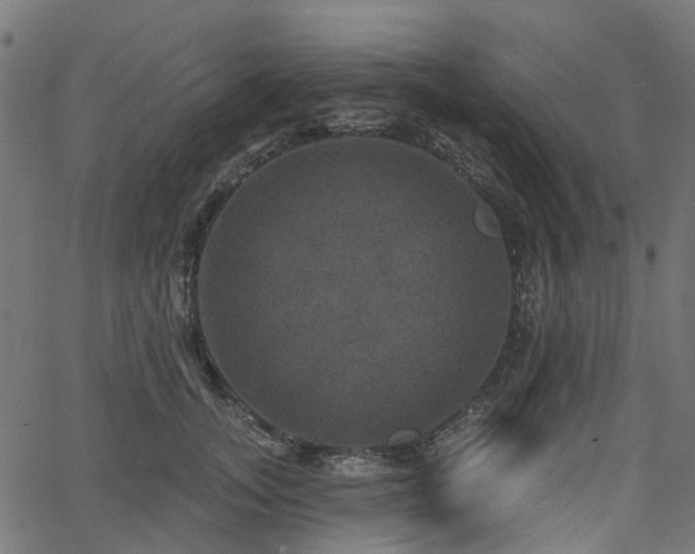 X0000066010755200603061257