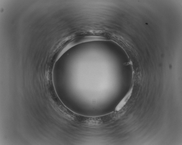 X0000066010756200603061257