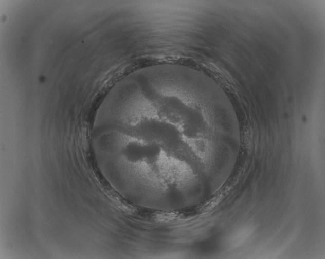 X0000066010757200603061257