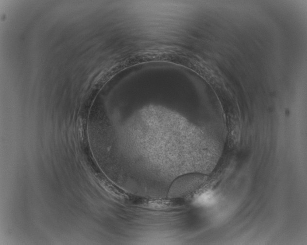 X0000066010758200603061257