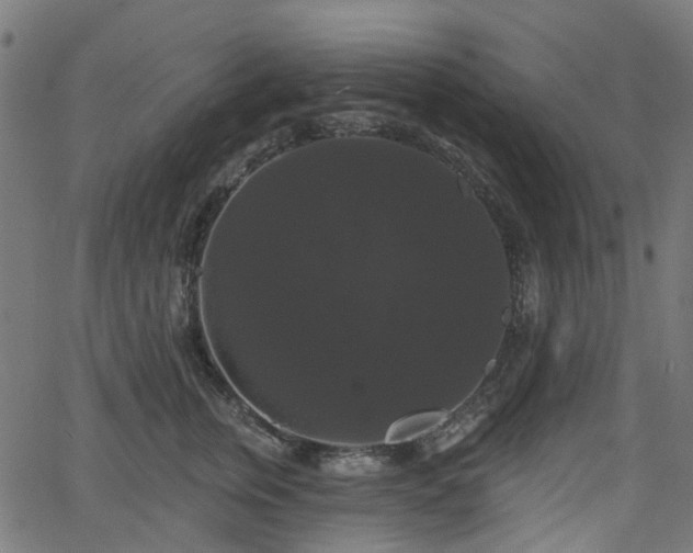 X0000066010759200603061257