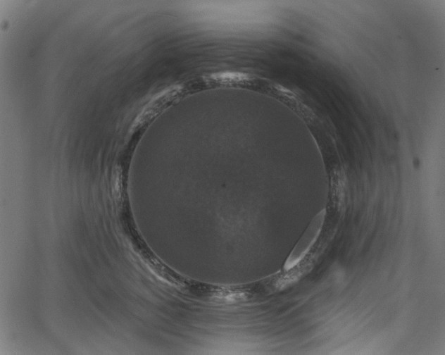 X0000066010760200603061257