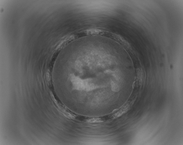 X0000066010761200603061257