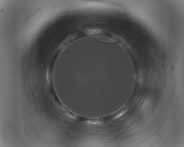 X0000066010763200603061257