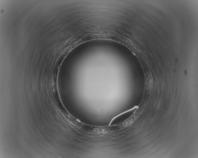 X0000066010764200603061257