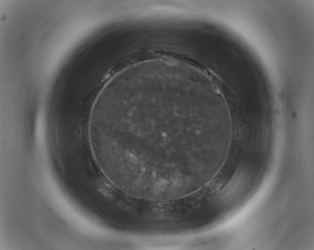 X0000066010765200603061257