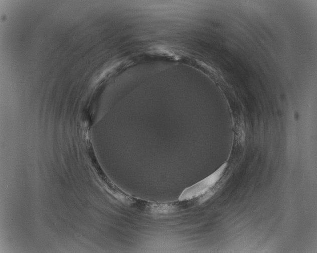 X0000066010766200603061257