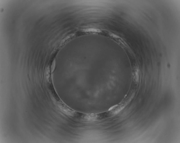 X0000066010767200603061257