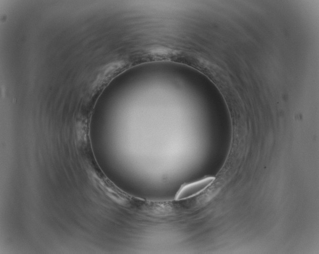 X0000066010768200603061257