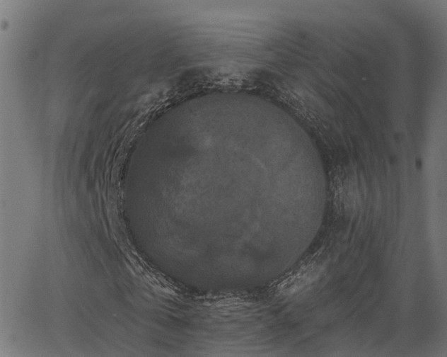 X0000066010769200603061256