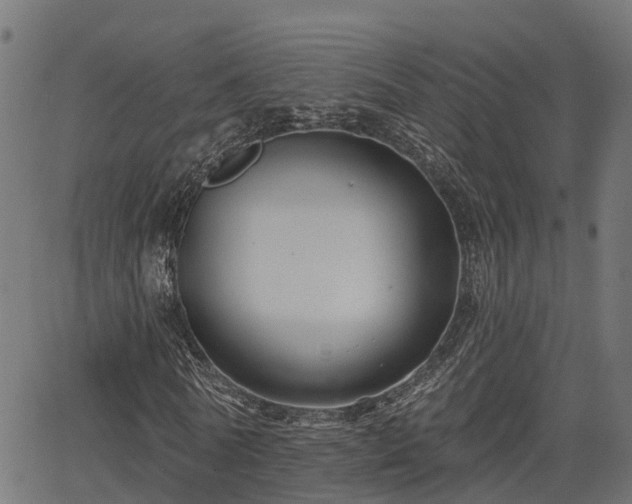 X0000066010770200603061256