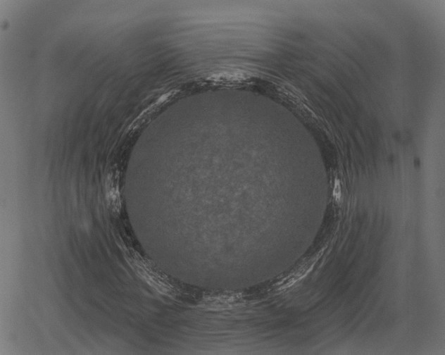 X0000066010771200603061256