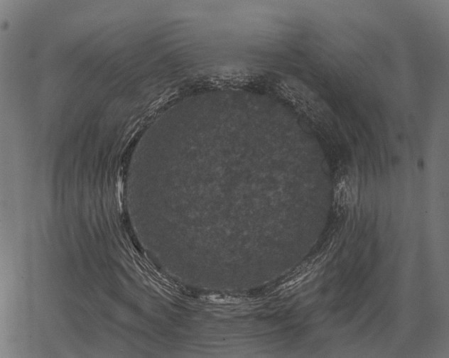 X0000066010772200603061256