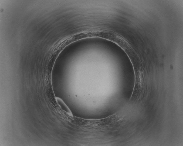 X0000066010773200603061256