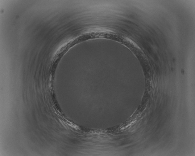 X0000066010775200603061256