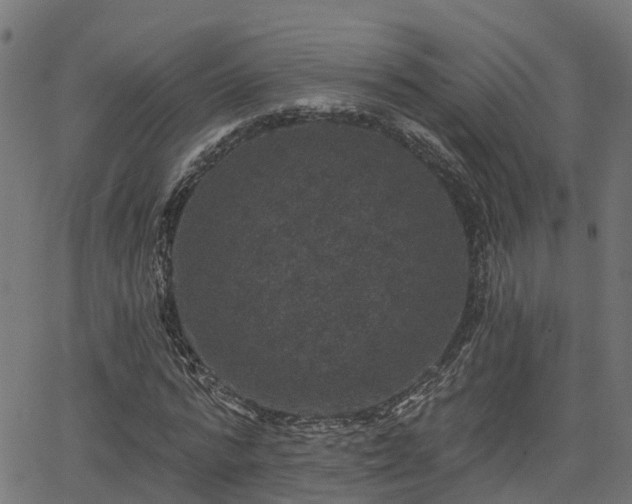 X0000066010776200603061256