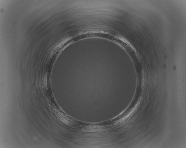 X0000066010777200603061256