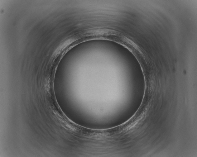 X0000066010778200603061256