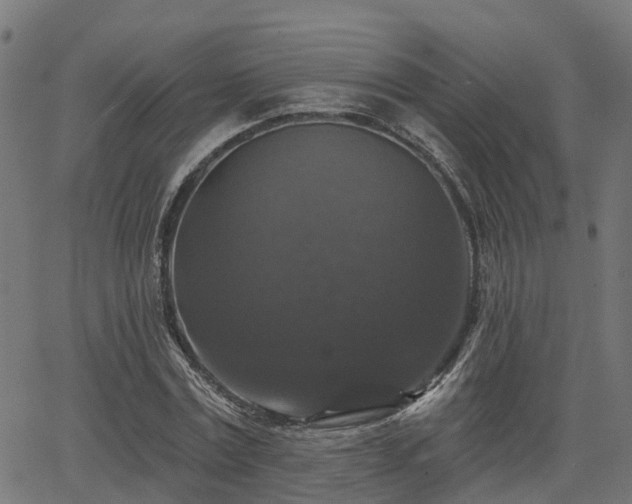 X0000066010779200603061256